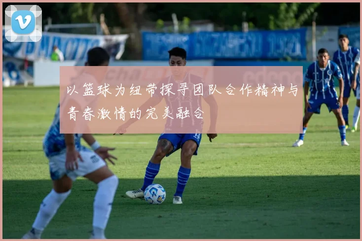 以篮球为纽带探寻团队合作精神与青春激情的完美融合