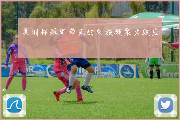 美洲杯冠军带来的民族凝聚力效应