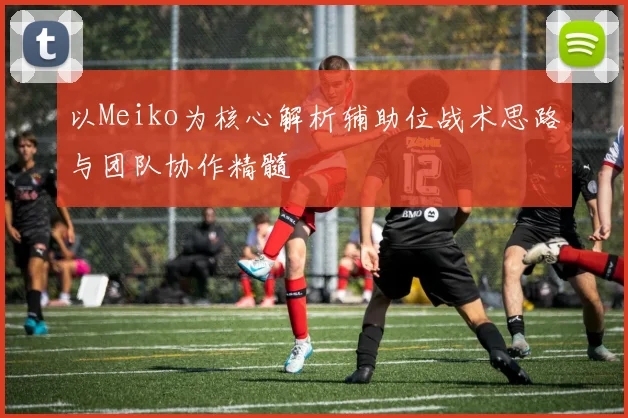 以Meiko为核心解析辅助位战术思路与团队协作精髓