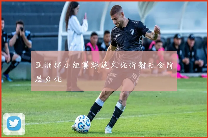 亚洲杯小组赛球迷文化折射社会阶层分化