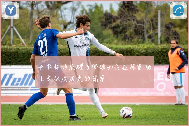 世界杯的荣耀与梦想如何在绿茵场上交织成历史的篇章