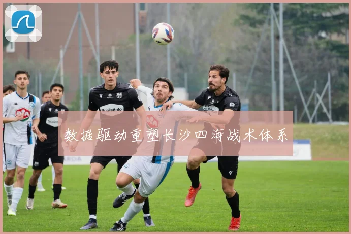 数据驱动重塑长沙四海战术体系